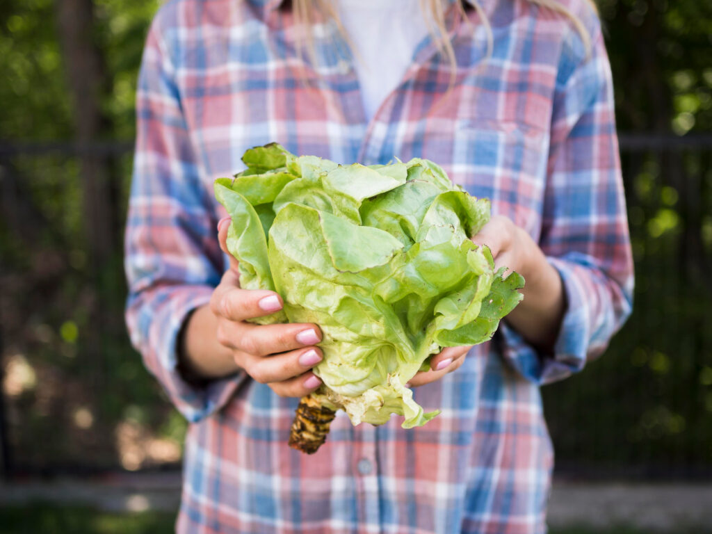 Agricultura